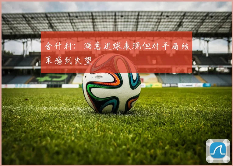 舍什科：满意进球表现但对平局结果感到失望