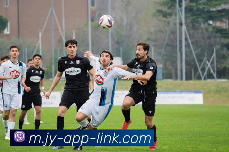 九游娱乐服务体系